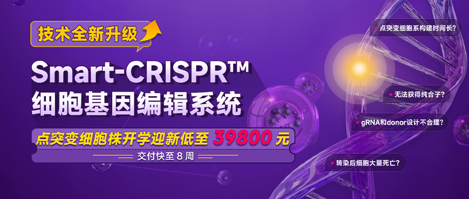 点突变细胞