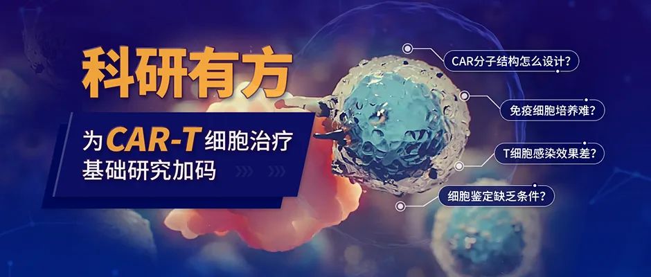 CAR-T细胞治疗