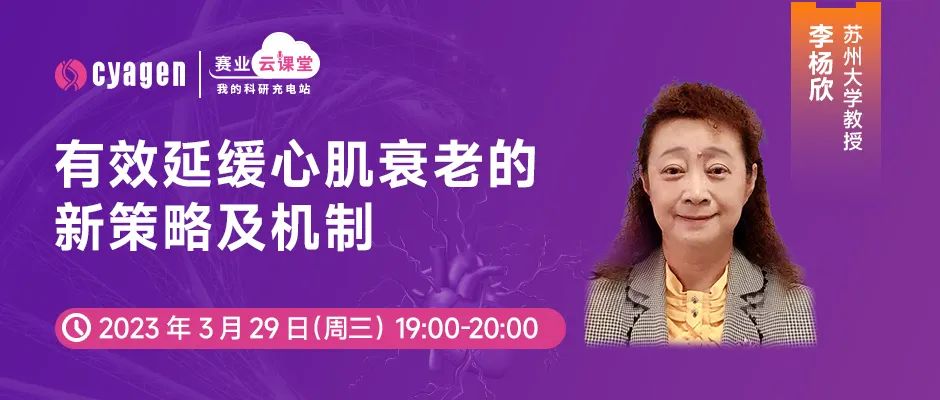 心肌衰老机制 心肌衰老机制