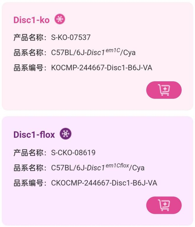 精神分裂症小鼠