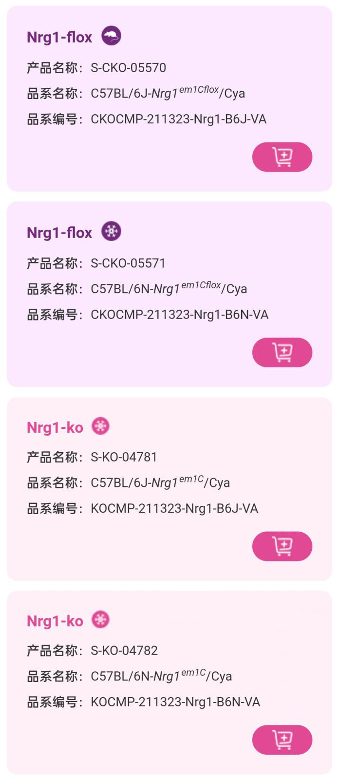 精神分裂症小鼠