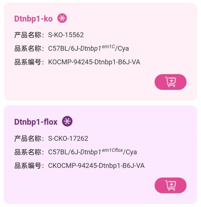 精神分裂症小鼠