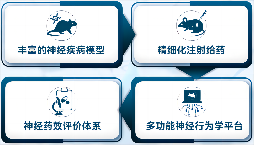 自闭症小鼠