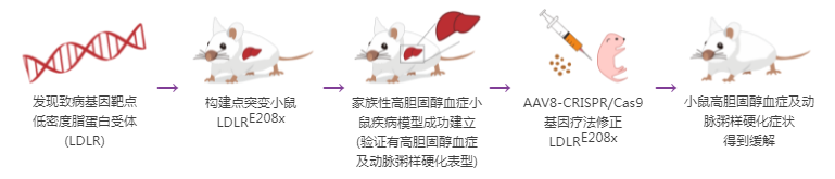 基因治疗