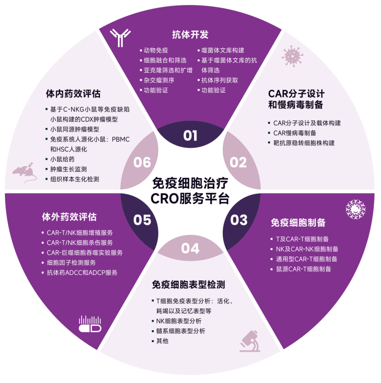 CAR-T细胞治疗