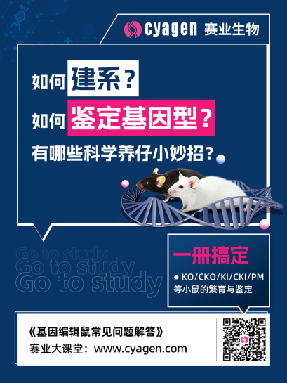 找小鼠 上红鼠