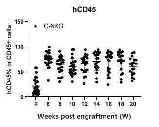 人源化小鼠