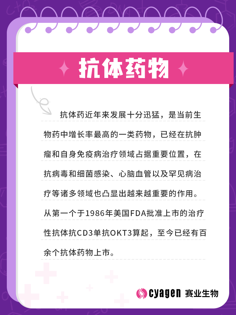 全人源抗体鼠