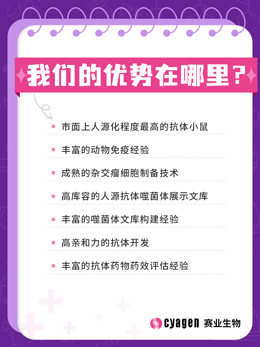 全人源抗体鼠