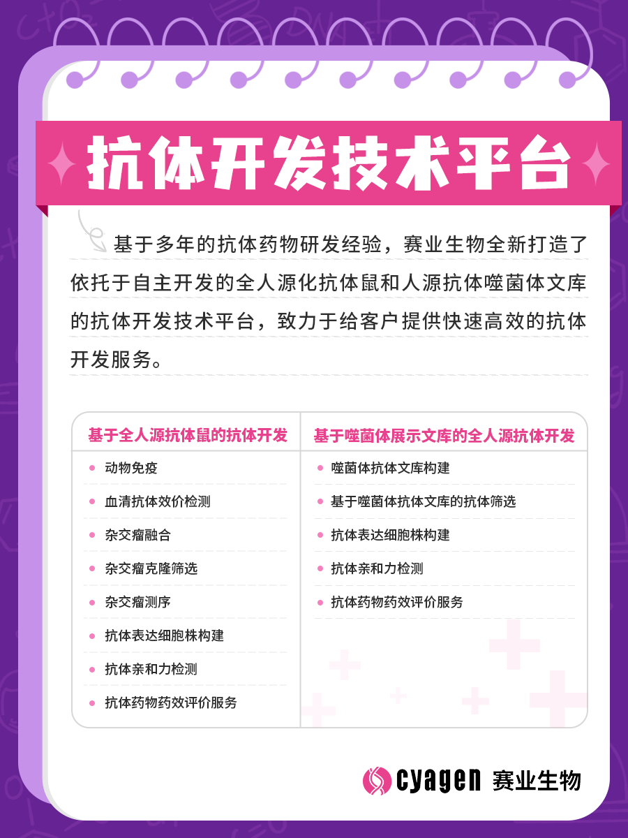 全人源抗体鼠
