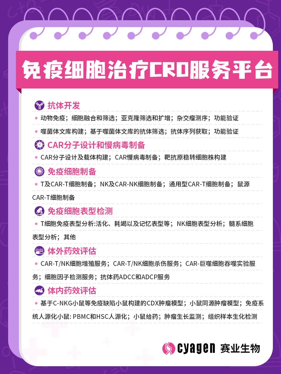 全人源抗体鼠
