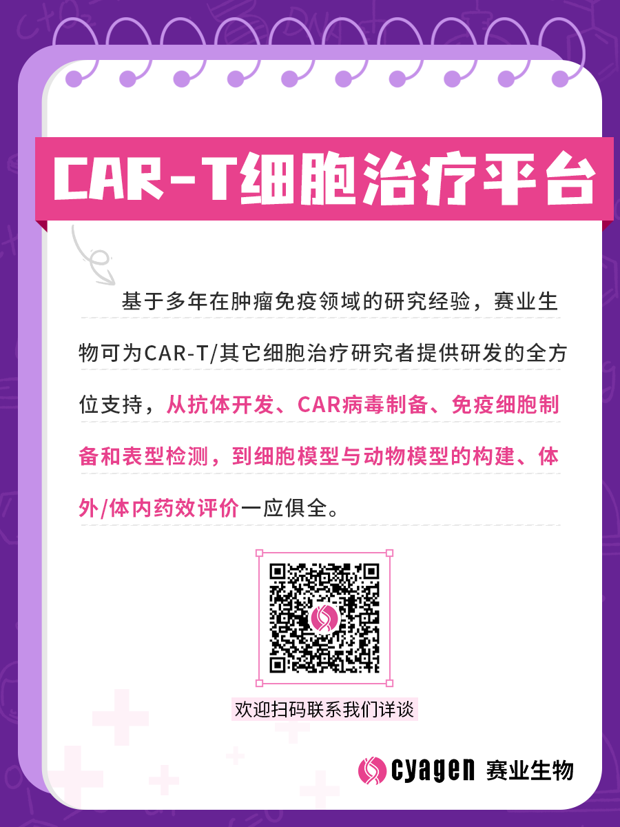 全人源抗体鼠