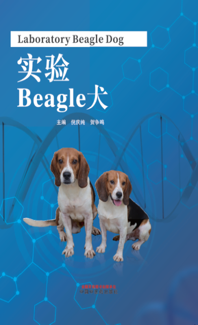 图片162.png