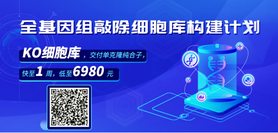 全基因组敲除细胞构建计划