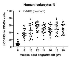 人免疫系统重建小鼠