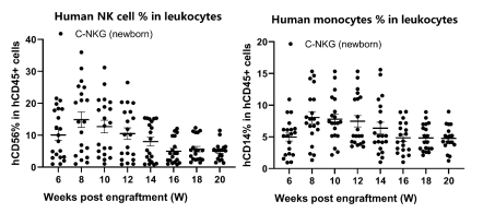 人免疫系统重建小鼠