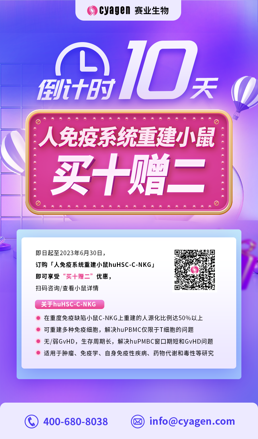 C-NKG小鼠