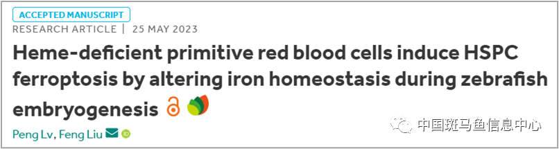 6431.png