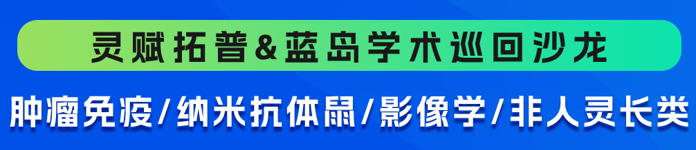 主题.png