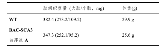 遗传性小脑共济失调
