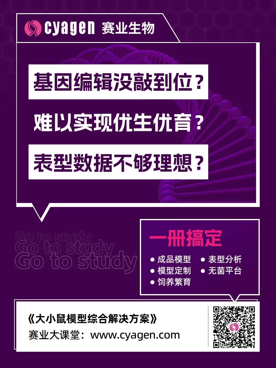大小鼠模型综合解决方案