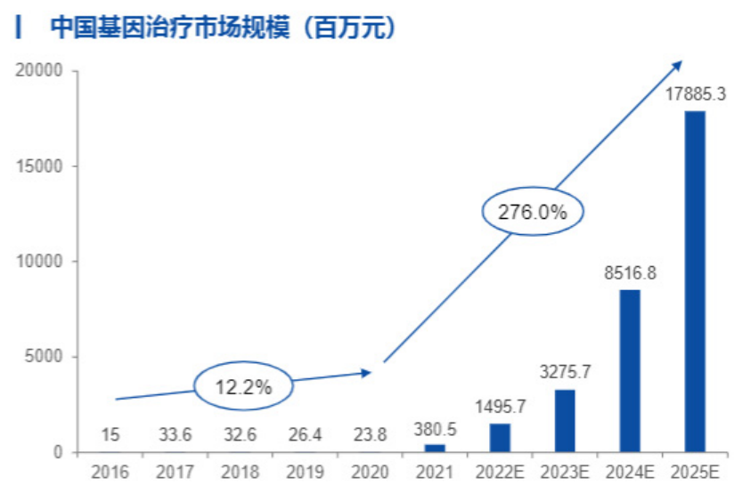中国新经济发展报告