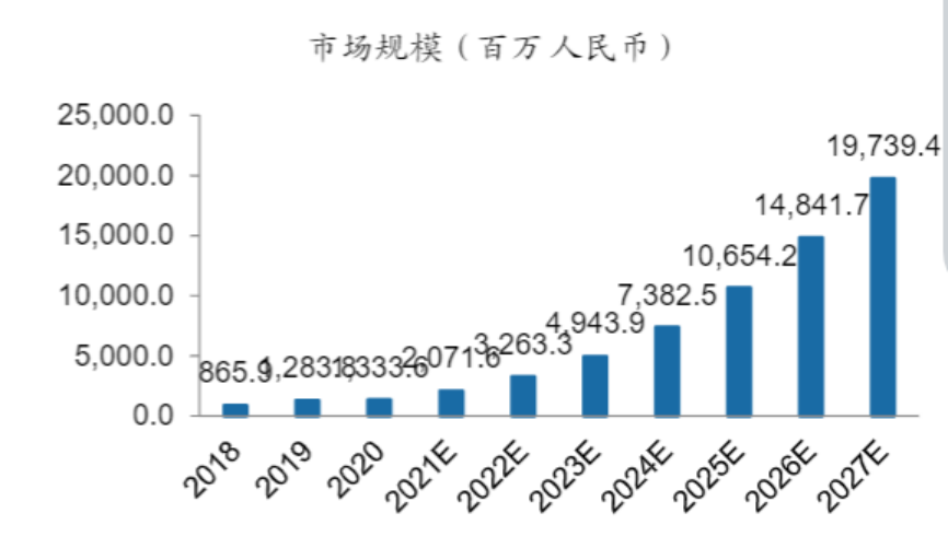 中国新经济发展报告