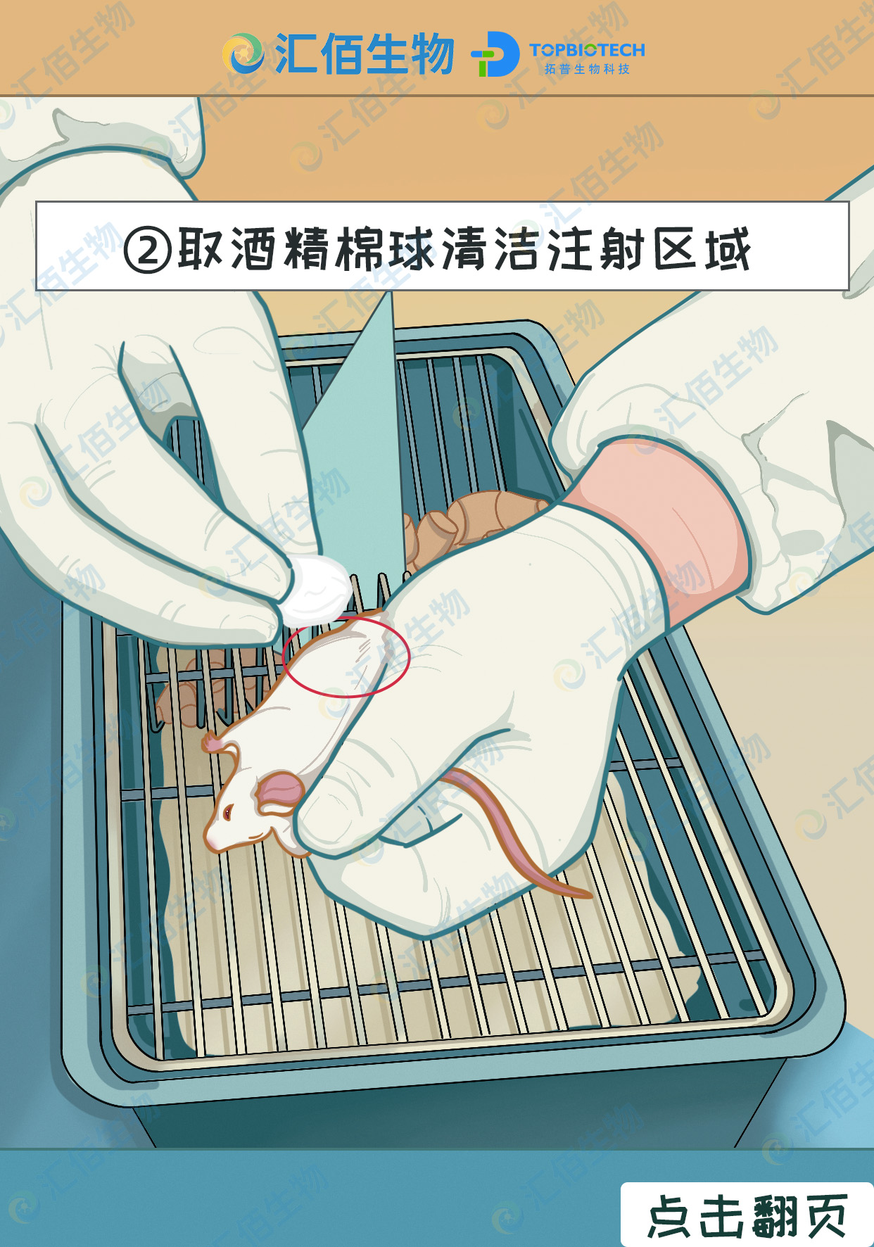 02步骤二;取酒精棉球清洁注射区域.jpg