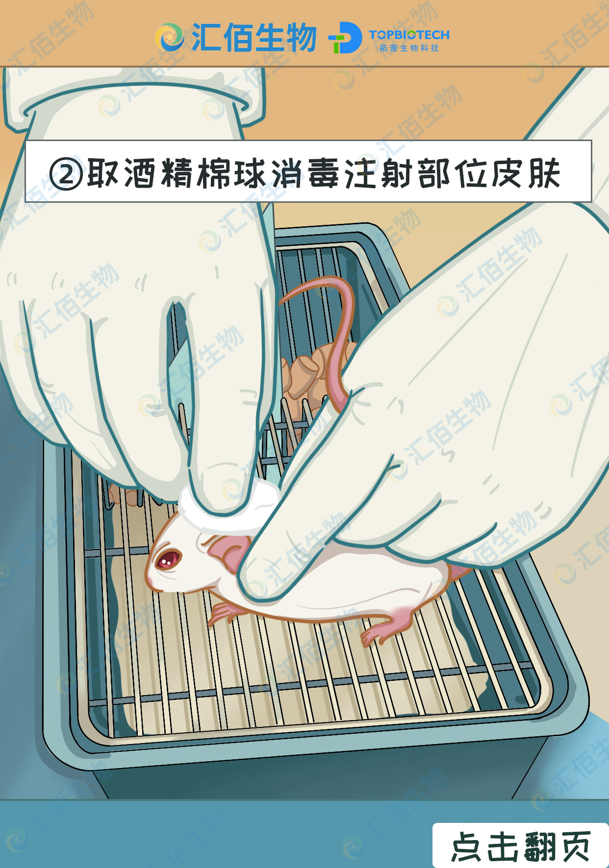 02步骤二：取酒精棉球消毒注射部位皮肤.jpg