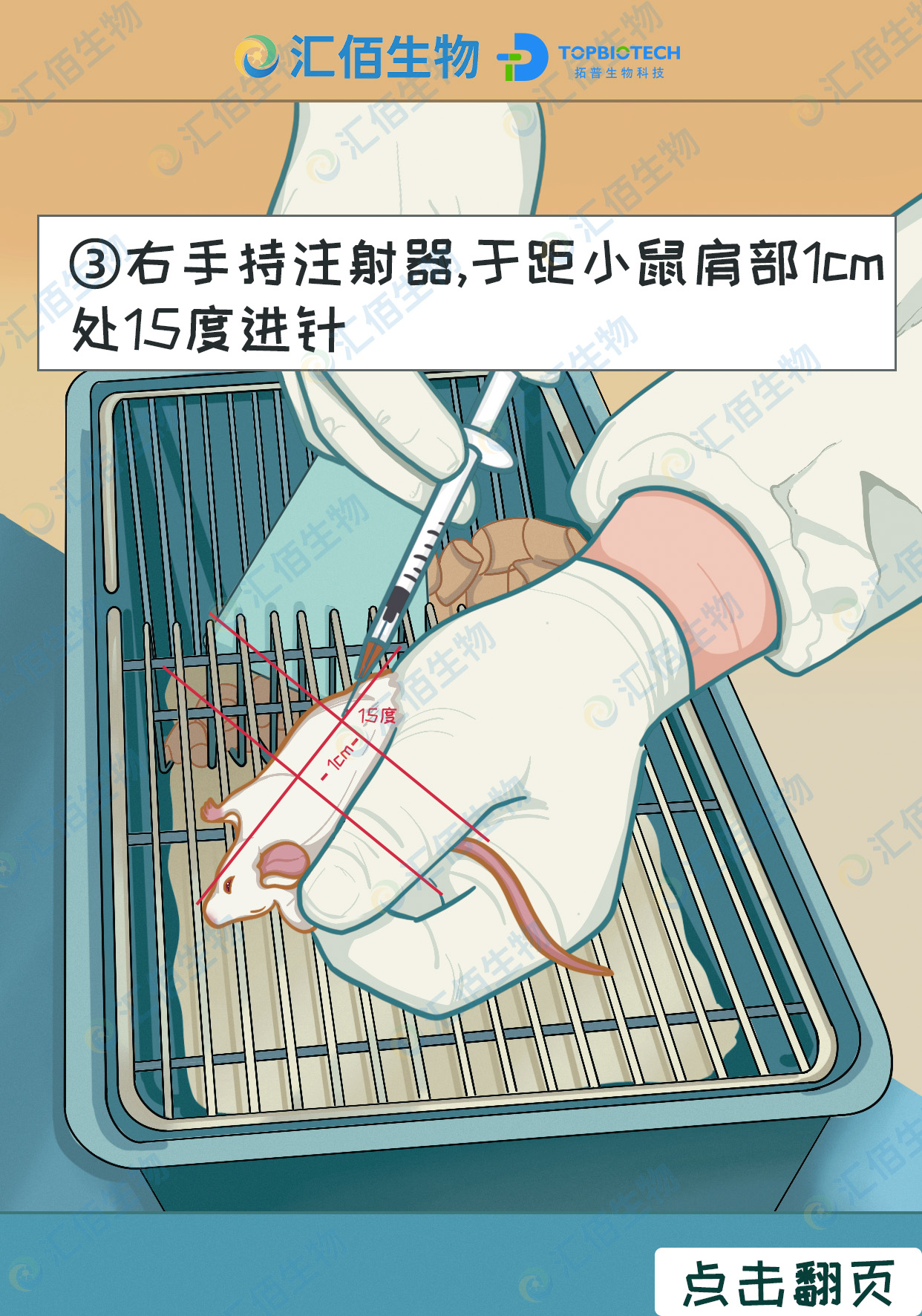 03步骤三右手持注射器,于距小鼠肩部1cm处15度进针.jpg