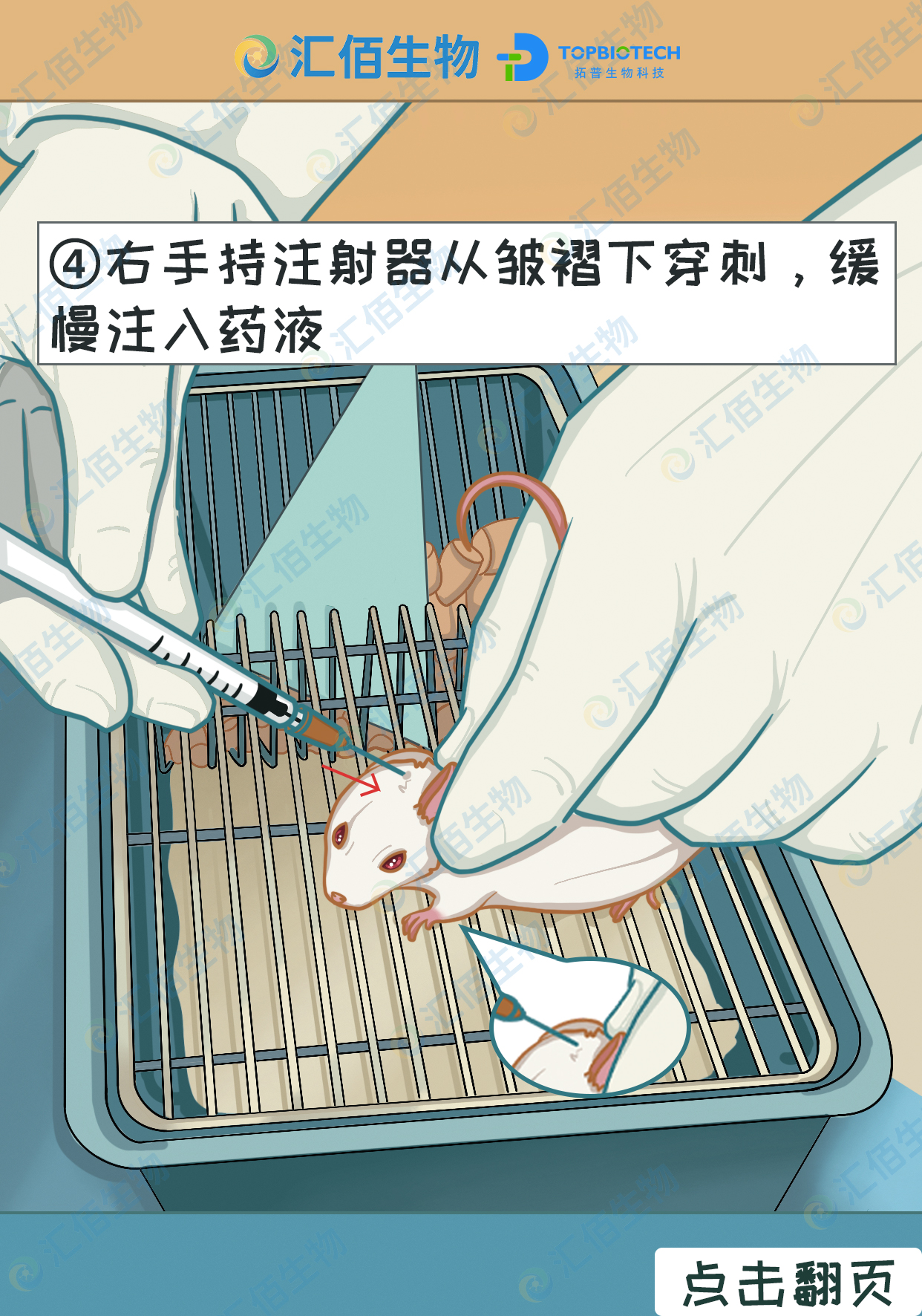 04步骤四：右手持注射器从皱褶下穿刺，缓慢注入药液.jpg