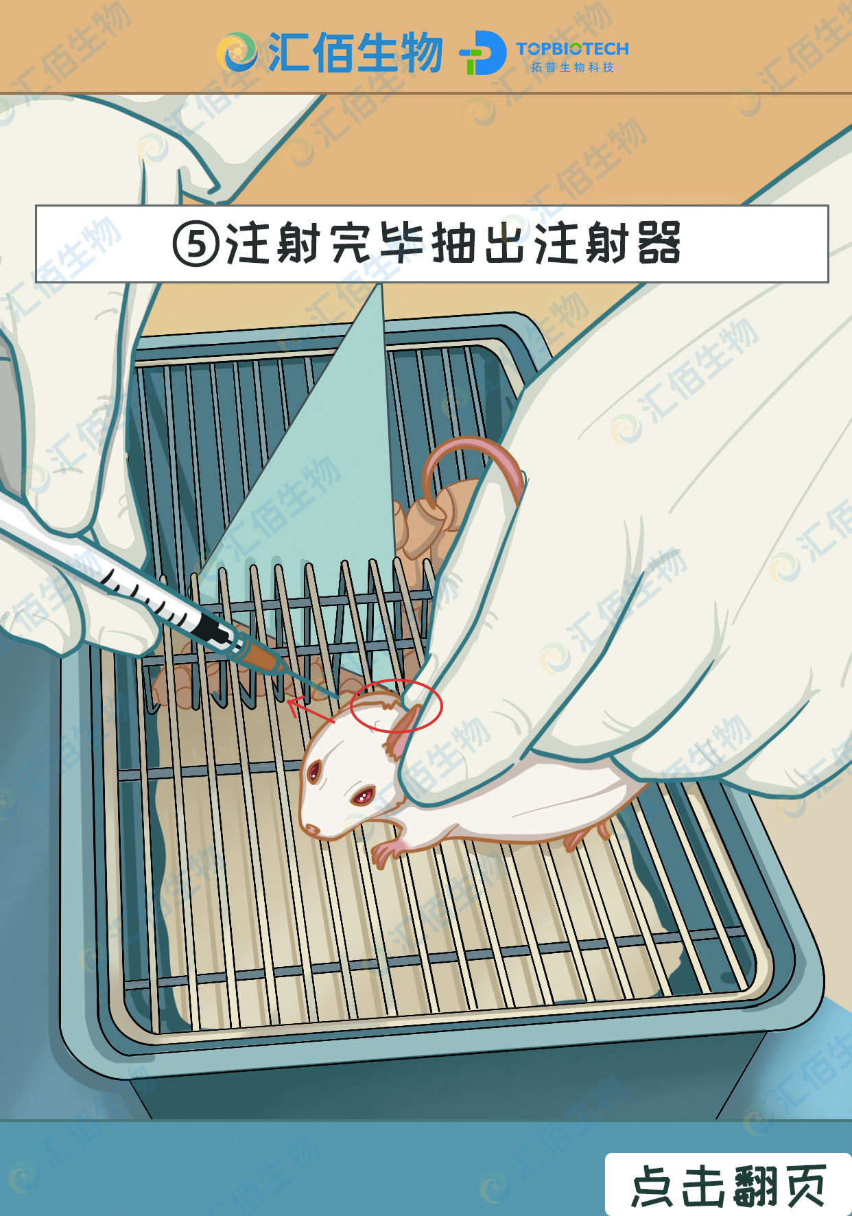 05步骤五：注射完毕抽出注射器.jpg