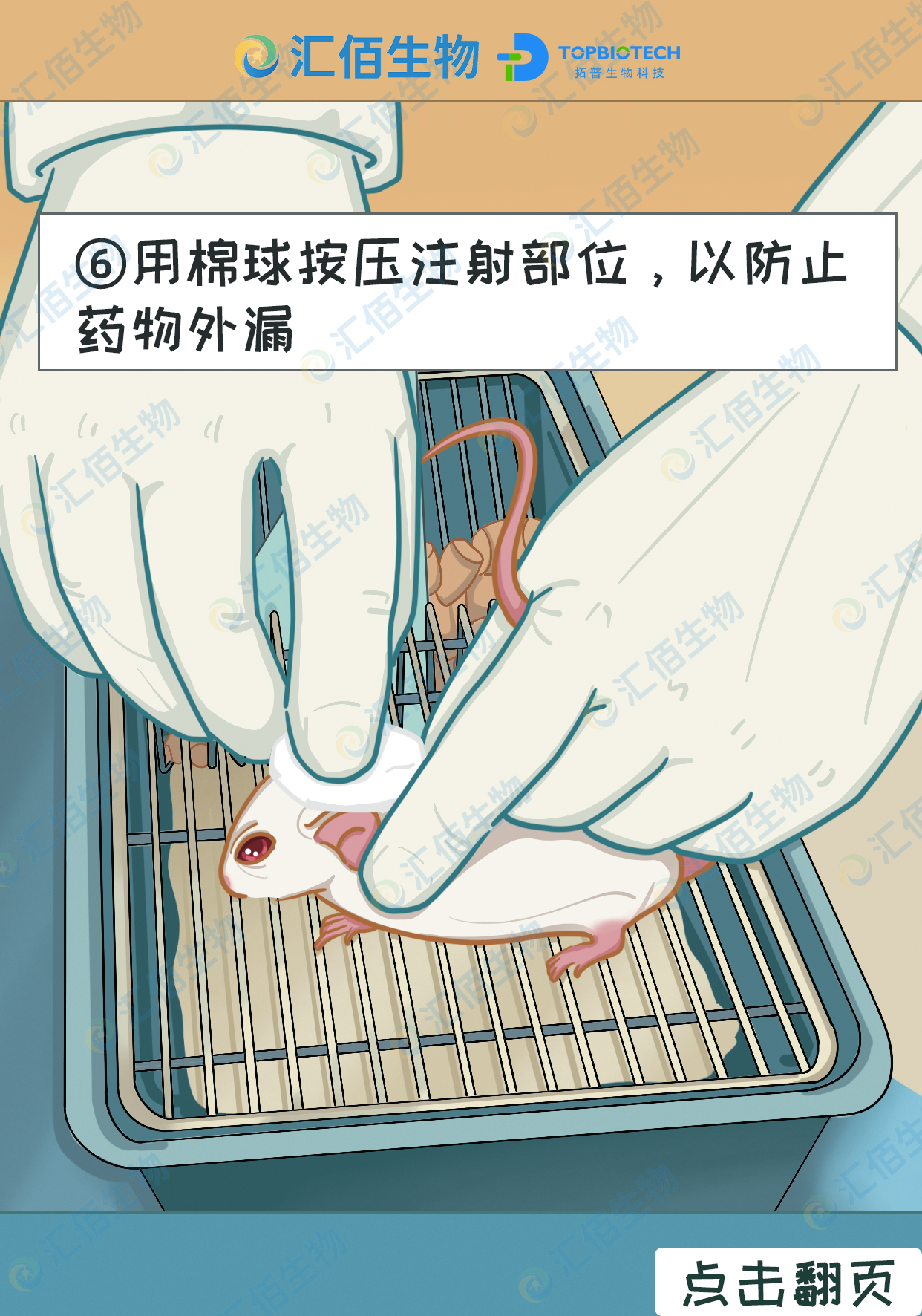06步骤六：用棉球按压注射部位，以防止药物外漏.jpg