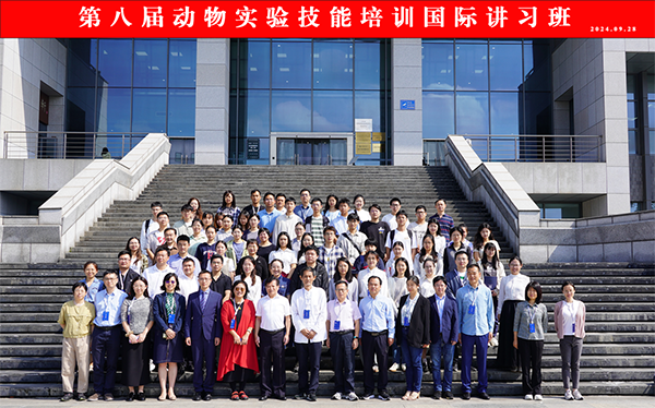 图片11.png