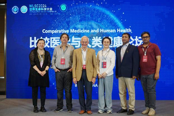 图片10.jpg