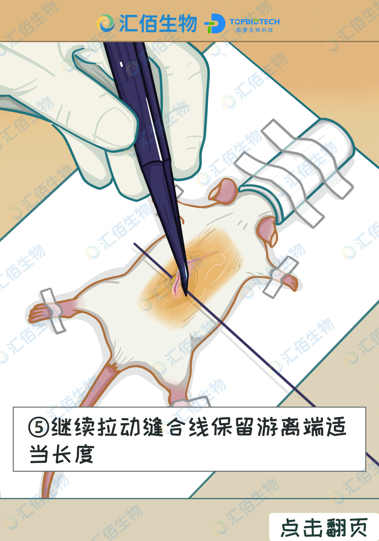 05步骤五,继续拉动缝合线保留游离端适当长度.jpg