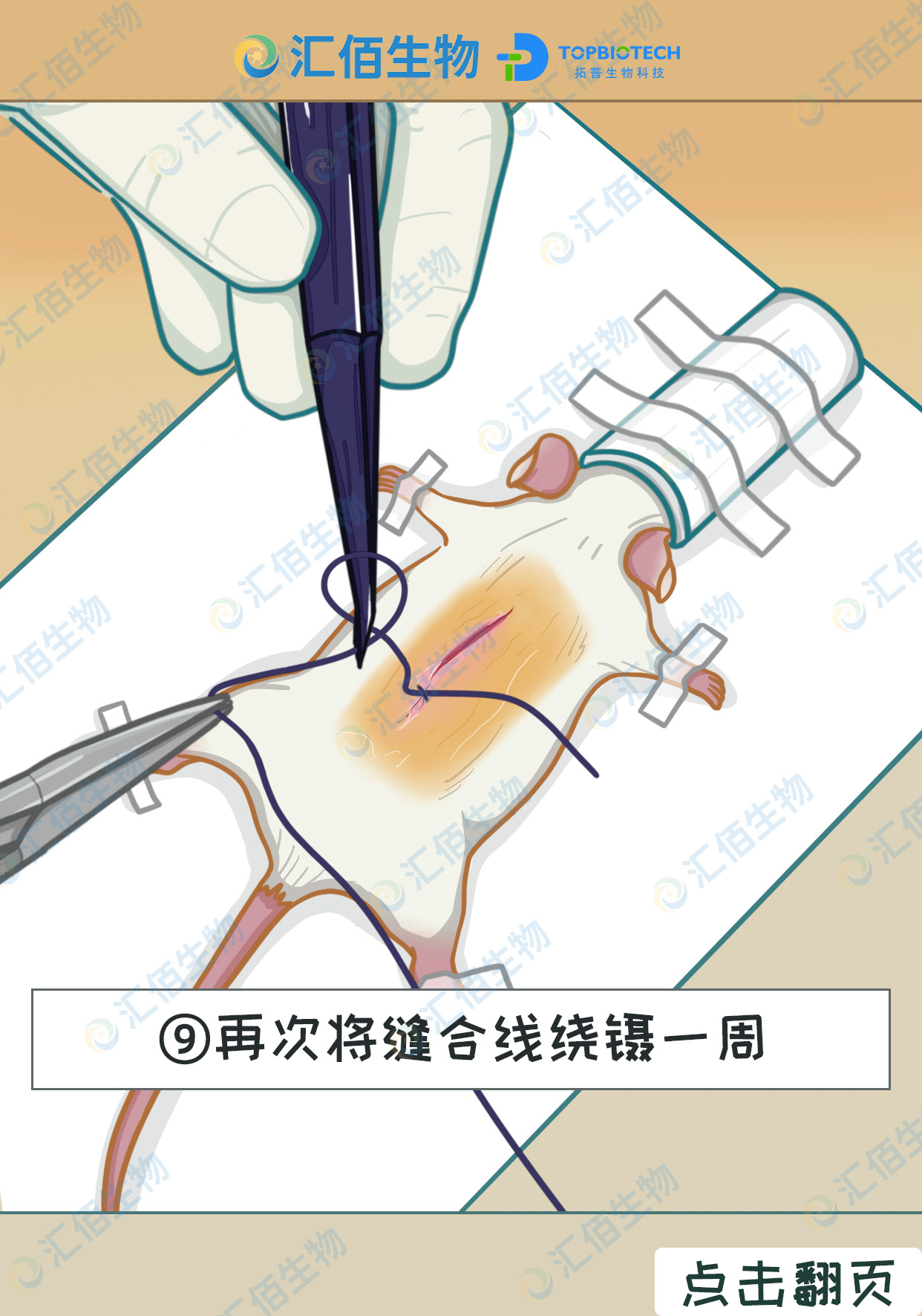 09步骤九,再次将缝合线绕镊一周.jpg