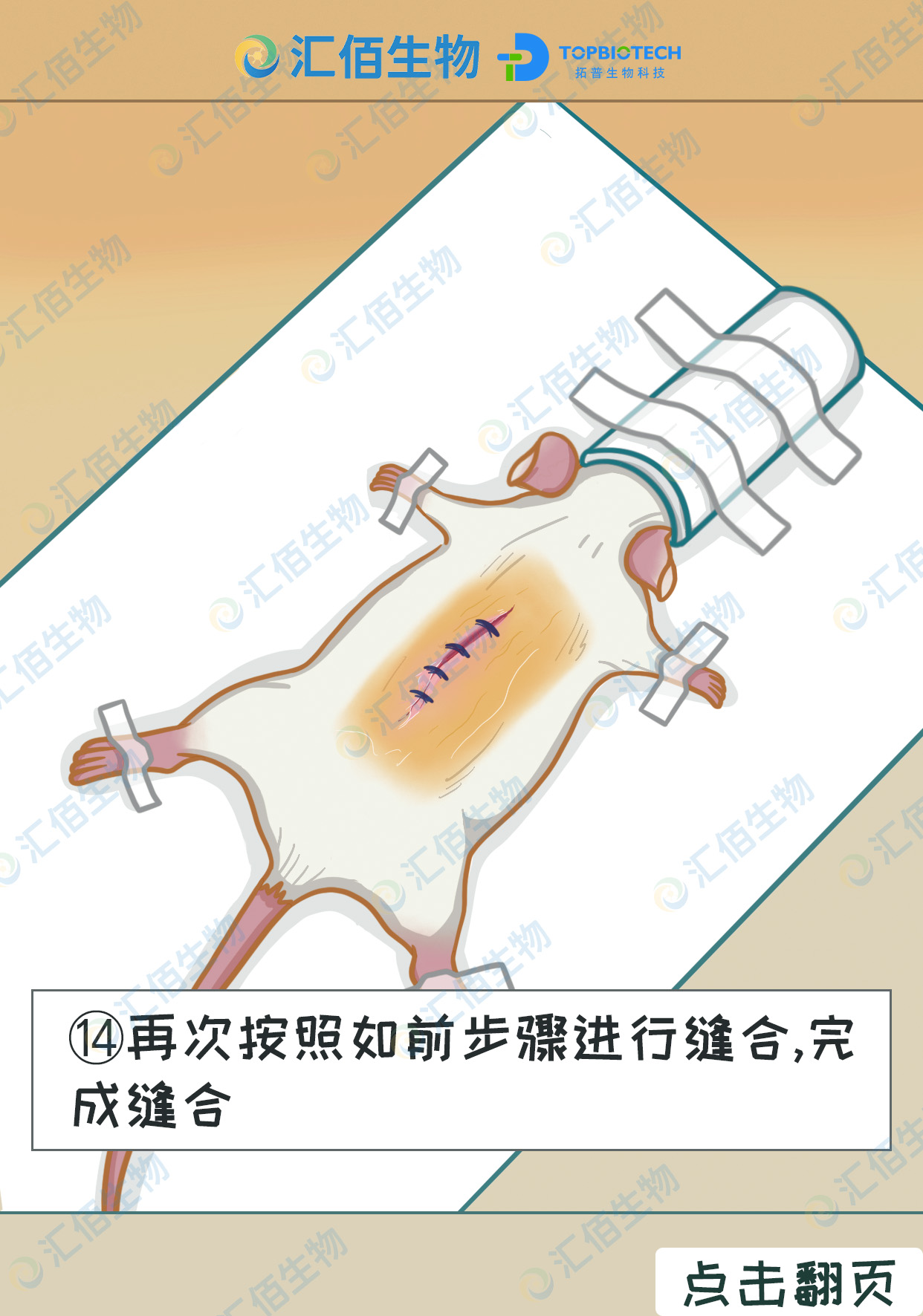 14步骤十四,再次按照如前步骤进行缝合,完成缝合.jpg