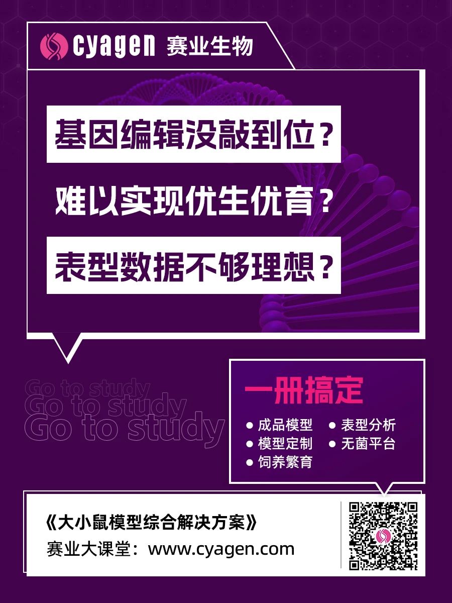 基因编辑载体的构建技术及其应用研究