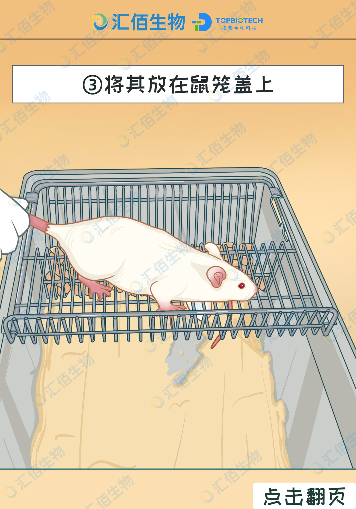 03步骤三;将其放在鼠笼盖上.jpg