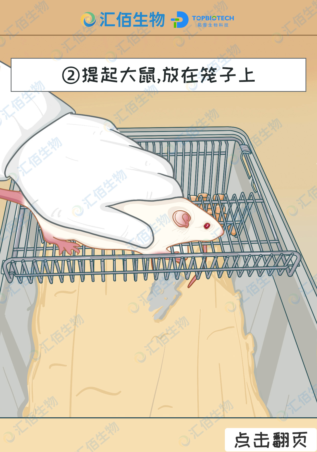 03步骤二,提起大鼠.jpg