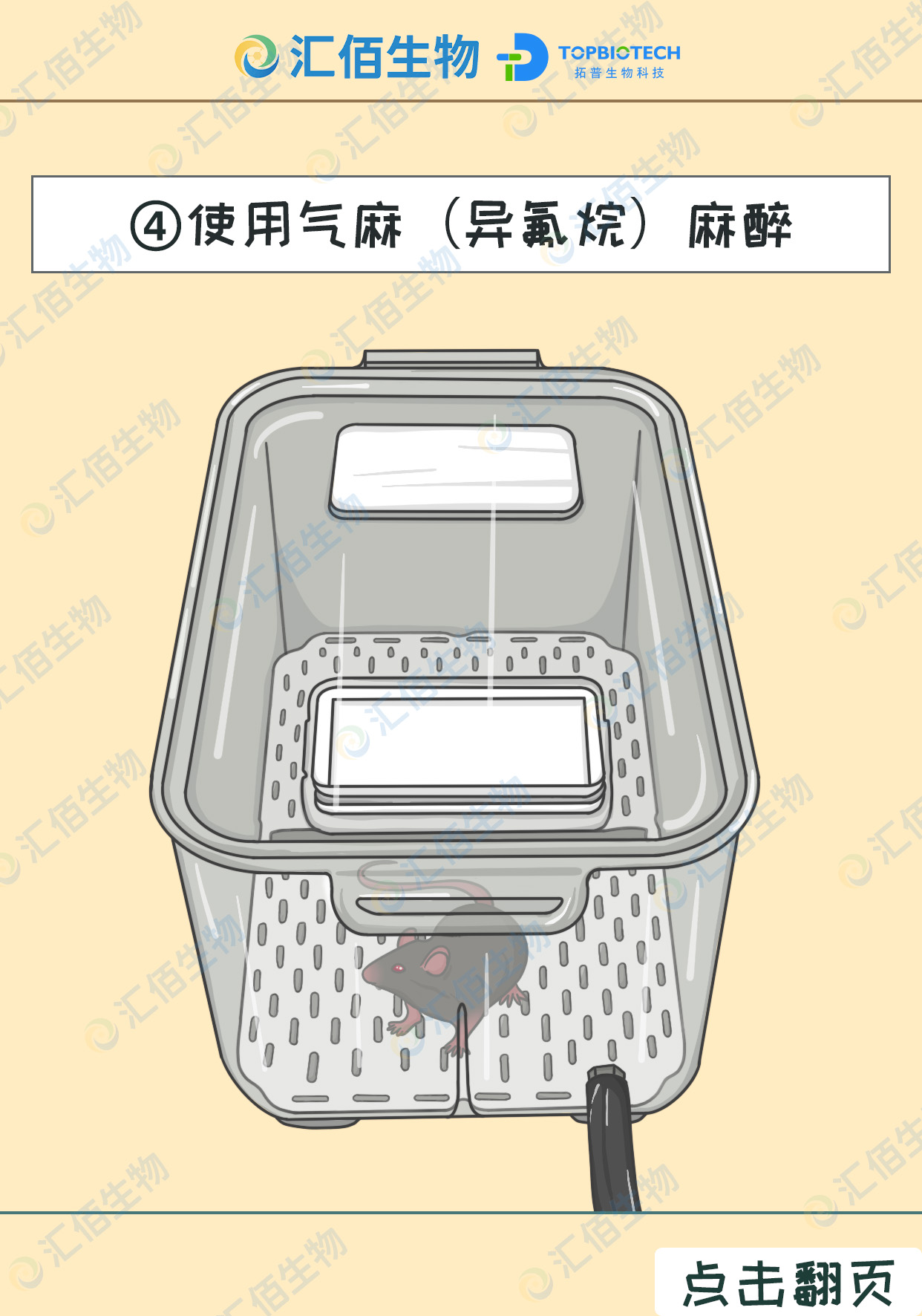 04步骤四;使用气麻（异氟烷）麻醉.jpg