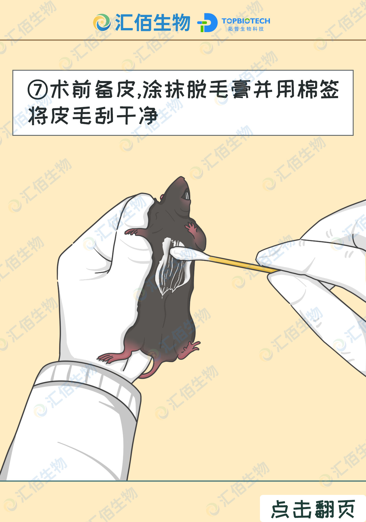 07步骤七;术前备皮,涂抹脱毛膏并用棉签将皮毛刮干净.jpg
