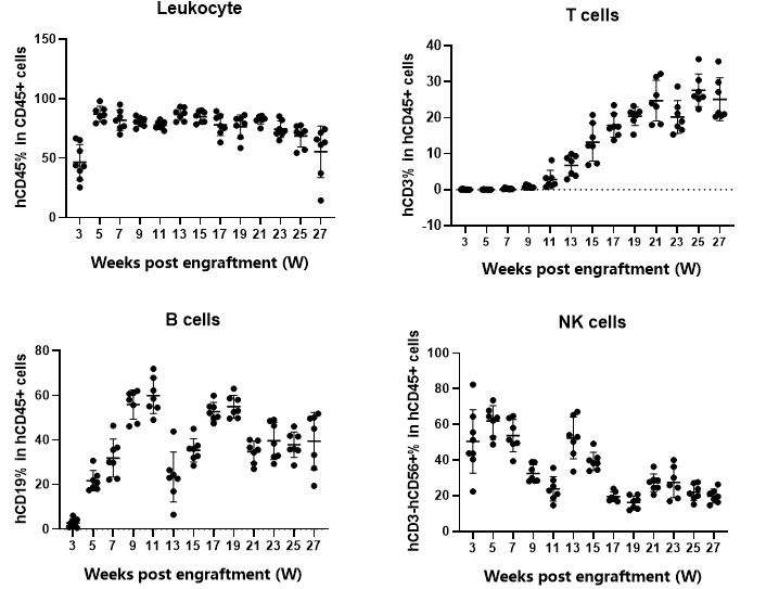 C-NKG-hIL15小鼠