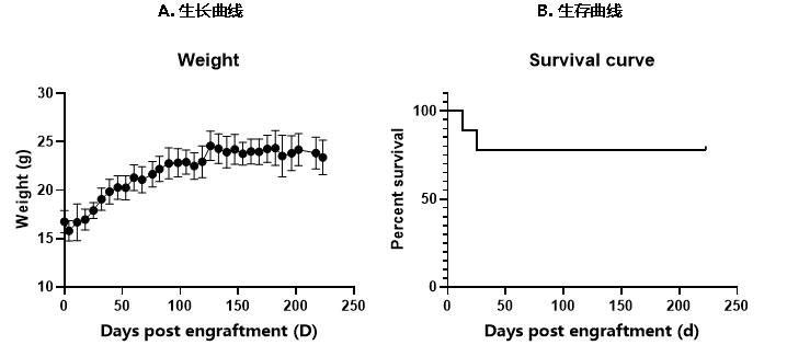 C-NKG-hIL15小鼠