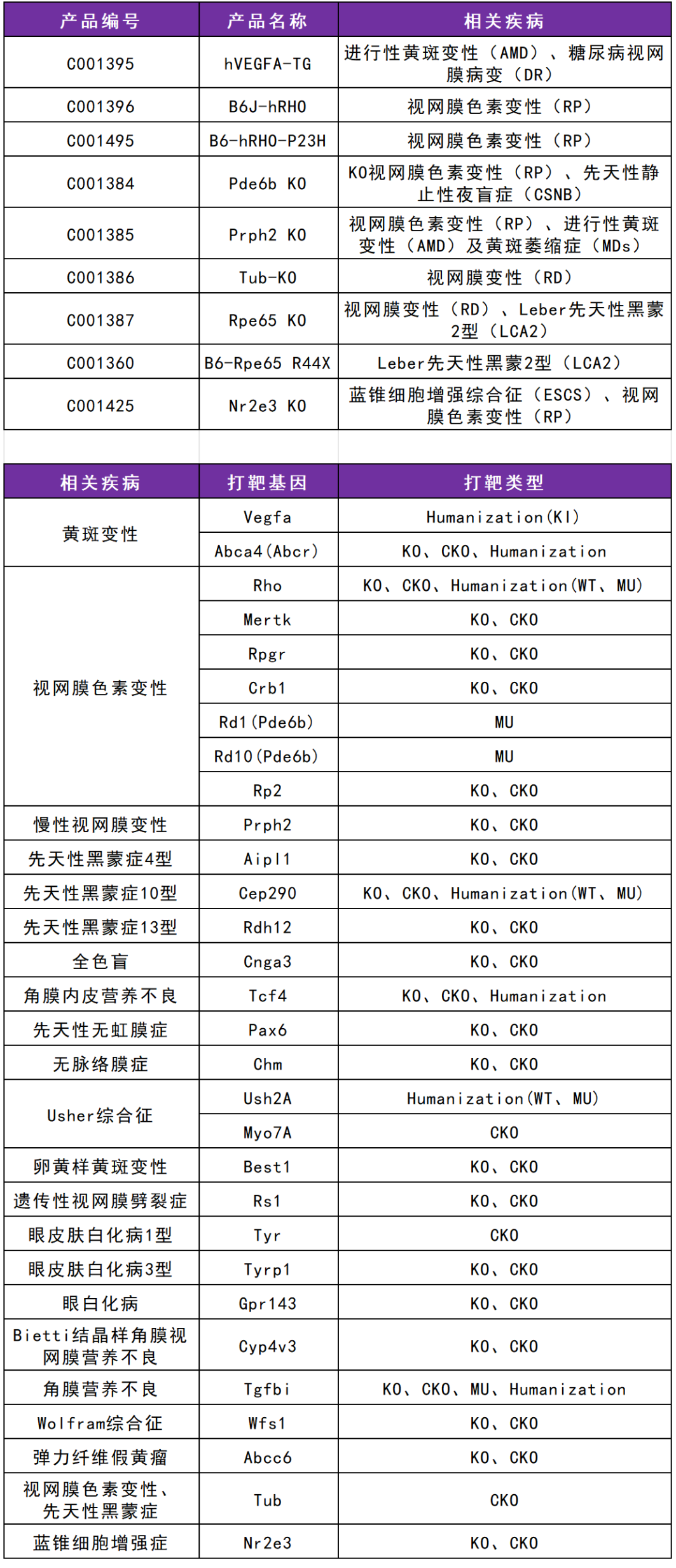 青光眼及其他眼科疾病的研究探索