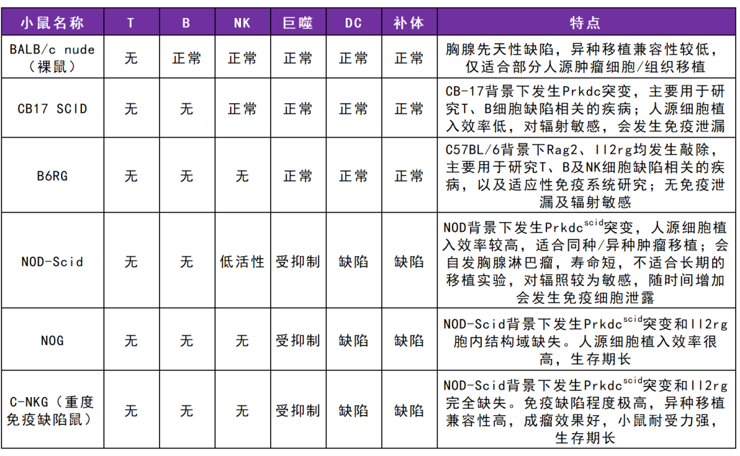 探寻免疫缺陷小鼠