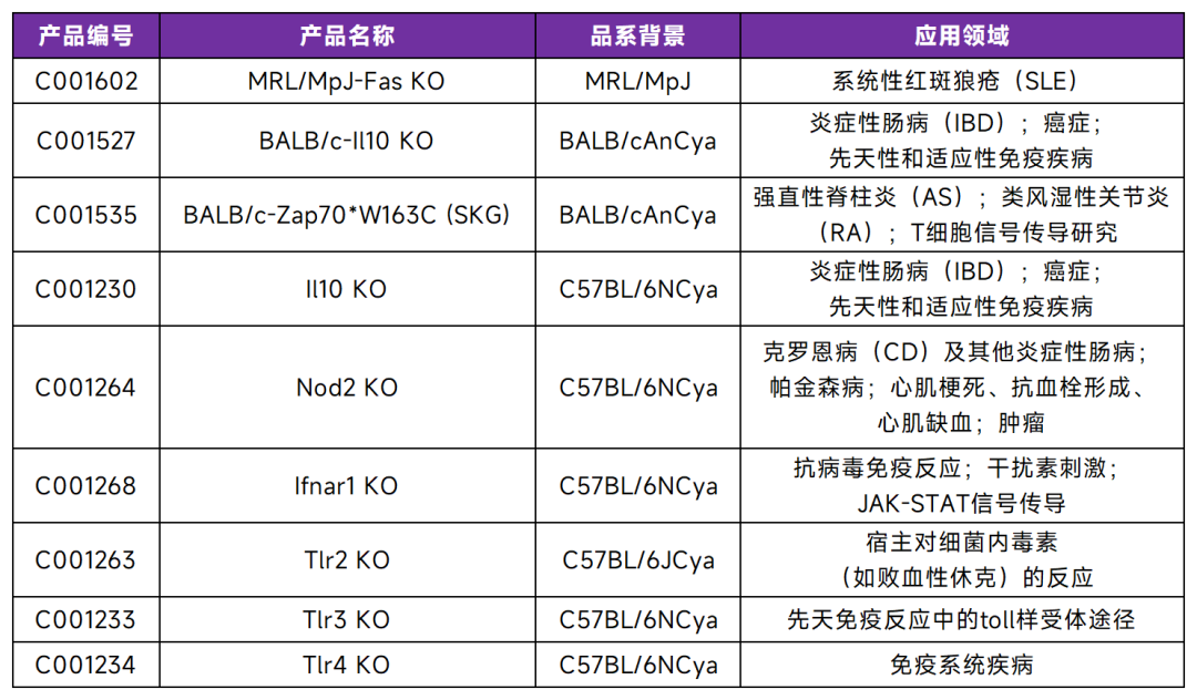 SLE研究小鼠