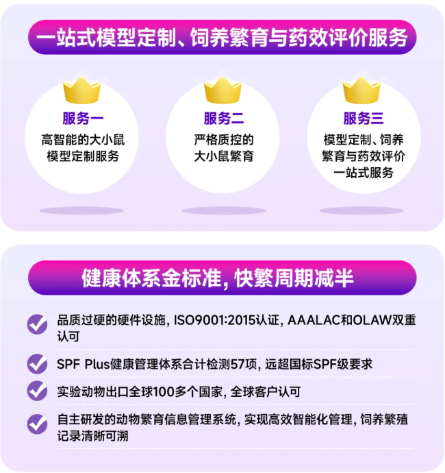 大小鼠常见症状全解析
