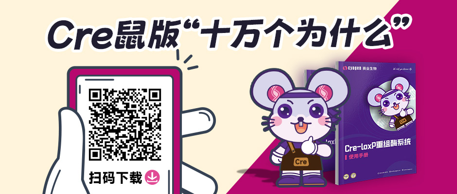 Cre手册-信息网.jpg